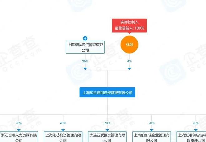 威九·国际(中国)官方网站又一大佬跑路被抓！诈骗达到989亿超5万人受骗投资者血(图10)