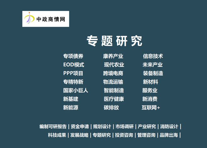 威九·国际(中国)官方网站2025-2031年全球及中国海外投资行业发展态势与投(图2)